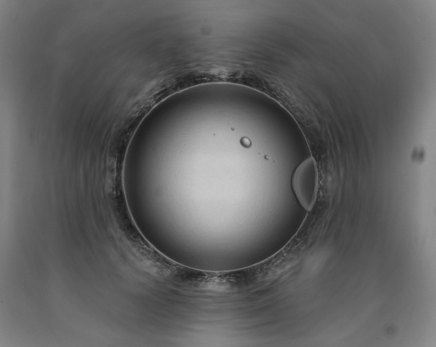 X0000090910656200707301435