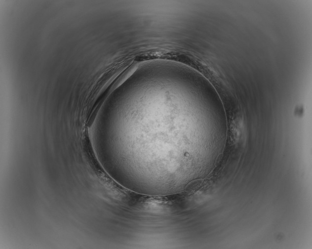 X0000090910657200707301435