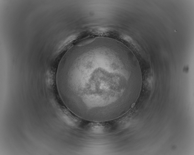 X0000090910658200707301435