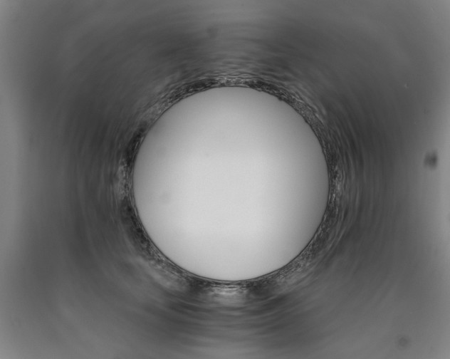 X0000090910659200707301435