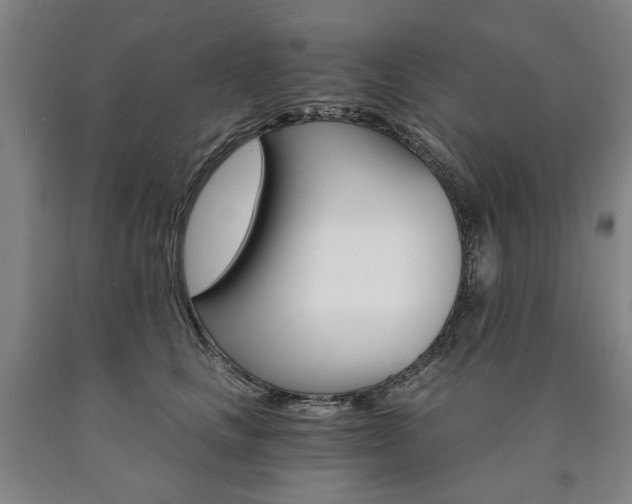 X0000090910661200707301435