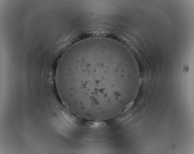 X0000090910663200707301435