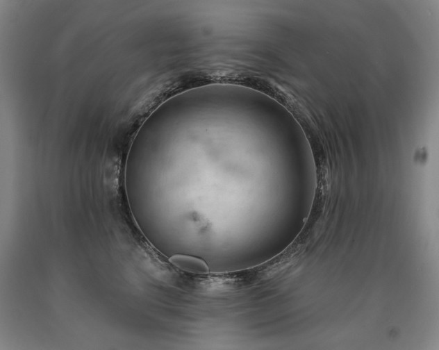 X0000090910664200707301435