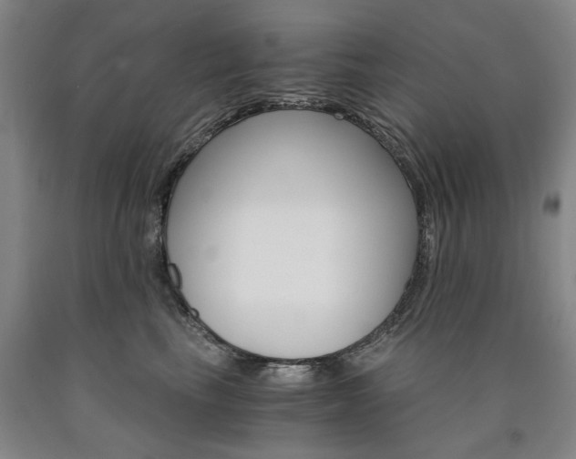 X0000090910665200707301435