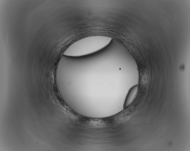 X0000090910666200707301435