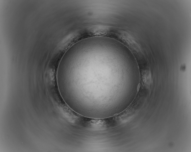 X0000090910667200707301435