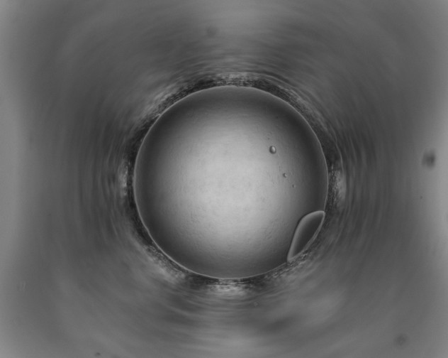 X0000090910668200707301435