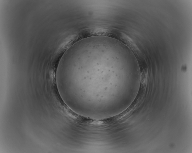 X0000090910669200707301435