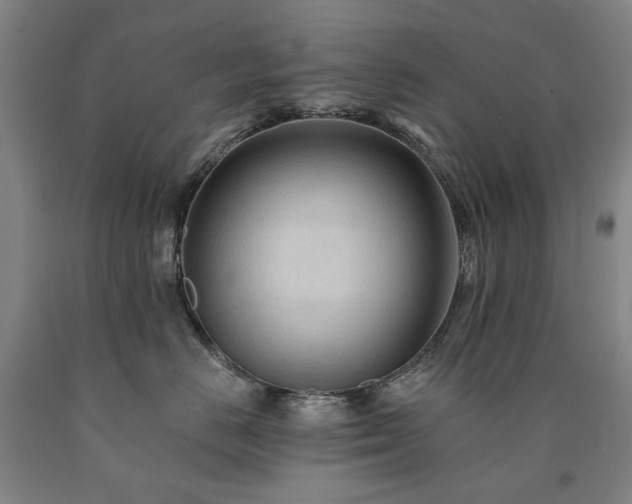 X0000090910670200707301435