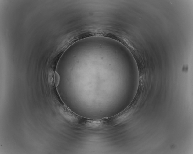 X0000090910671200707301435