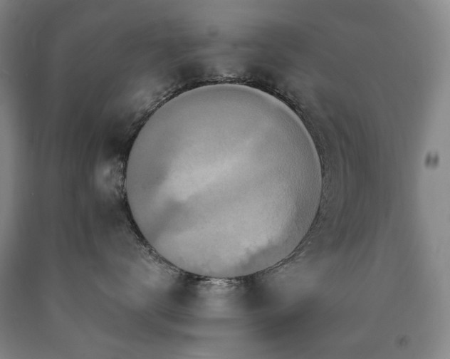 X0000090910672200707301435