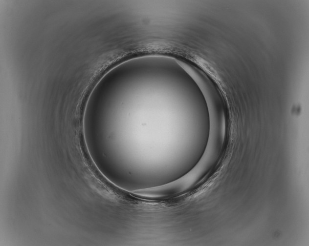 X0000090910673200707301435