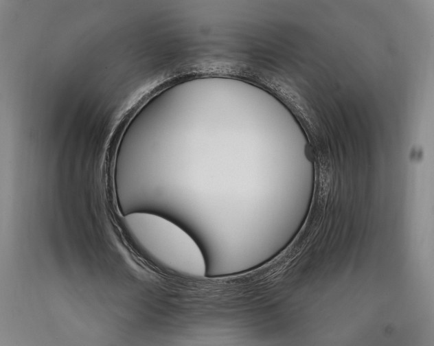 X0000090910674200707301435