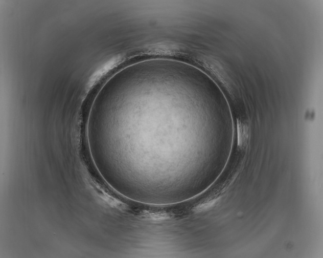 X0000090910675200707301435