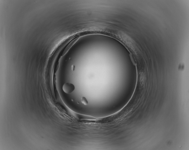 X0000090910676200707301435