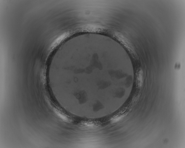 X0000090910679200707301434