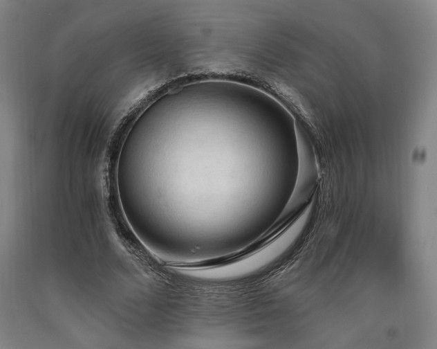 X0000090910680200707301434