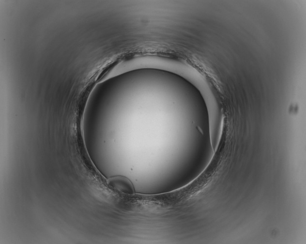 X0000090910681200707301434