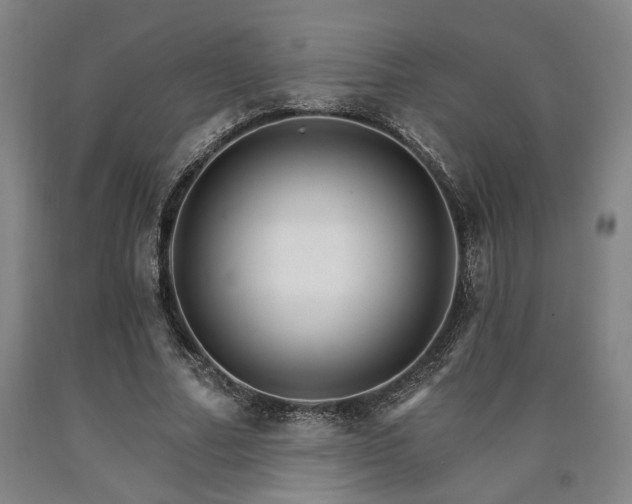 X0000090910682200707301434