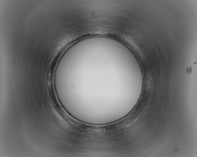 X0000090910683200707301434