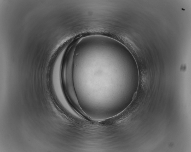 X0000090910684200707301434