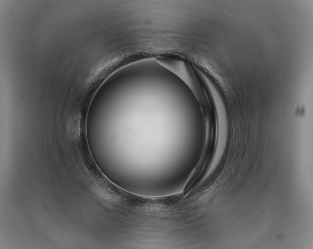 X0000090910685200707301434