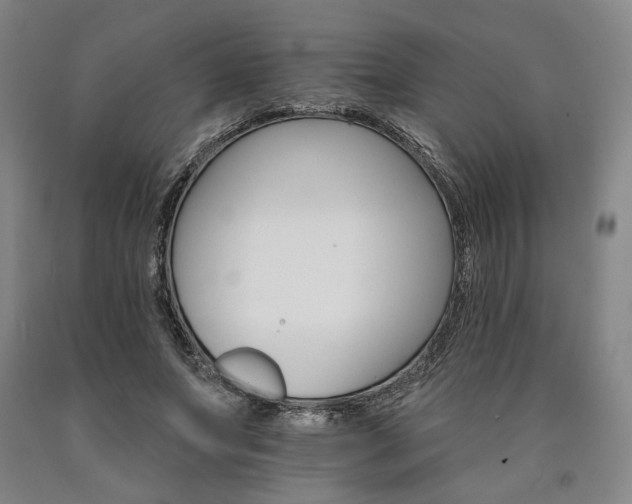 X0000090910687200707301434