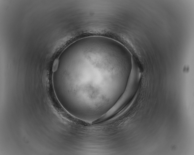 X0000090910688200707301434