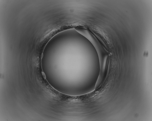 X0000090910689200707301434