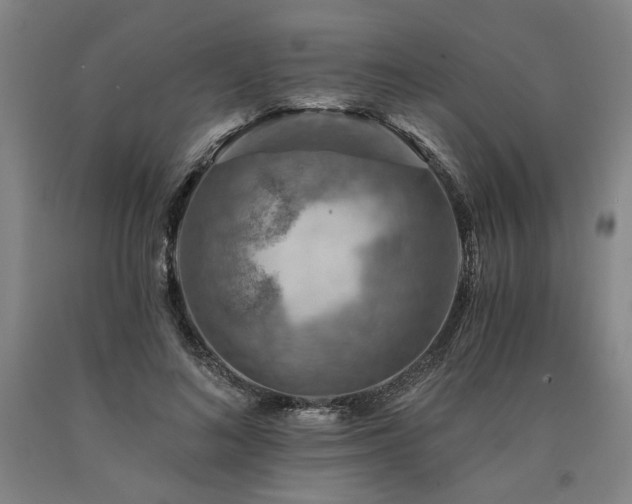 X0000090910692200707301434