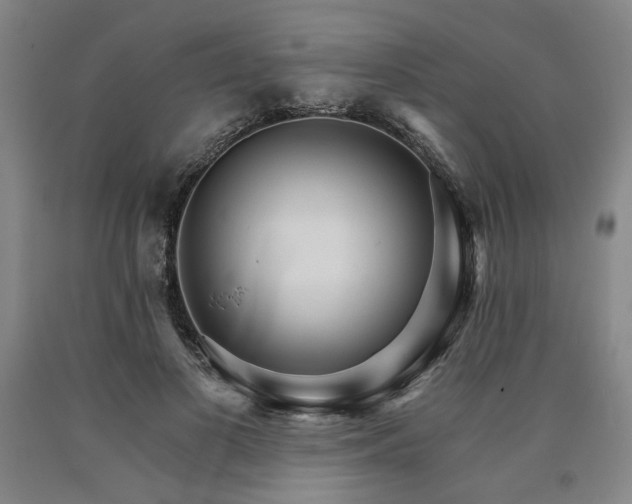 X0000090910693200707301434