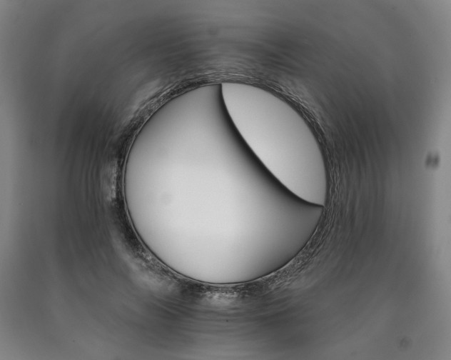 X0000090910694200707301434