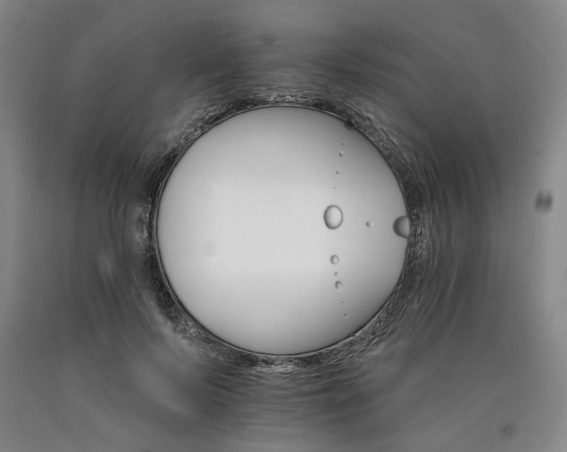 X0000090910695200707301434