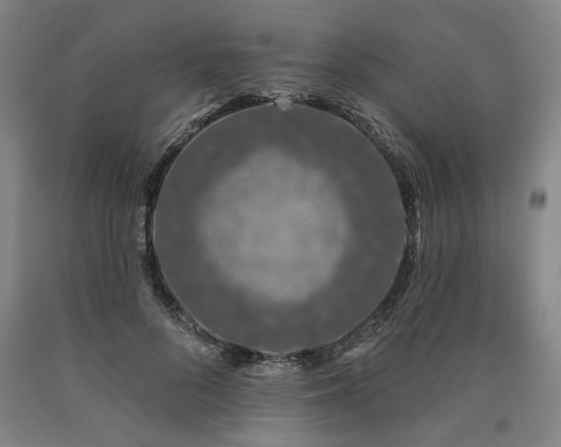 X0000090910696200707301434