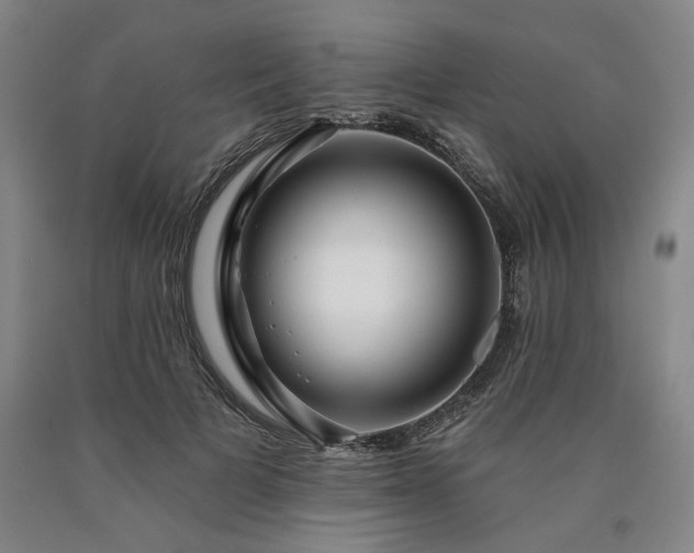 X0000090910697200707301434