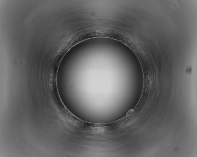 X0000090910698200707301434