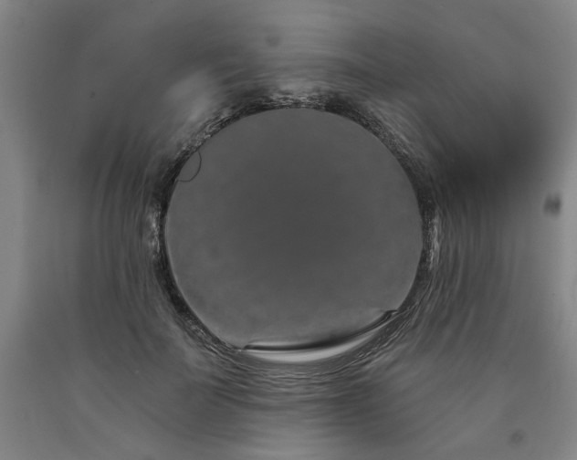 X0000090910699200707301434