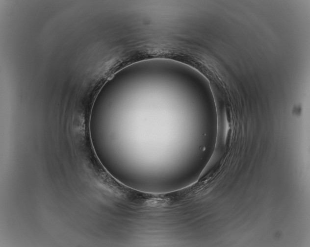 X0000090910700200707301434