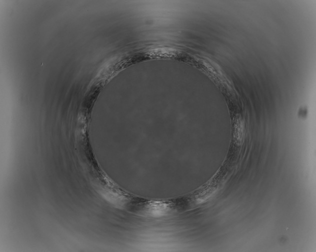 X0000090910701200707301434