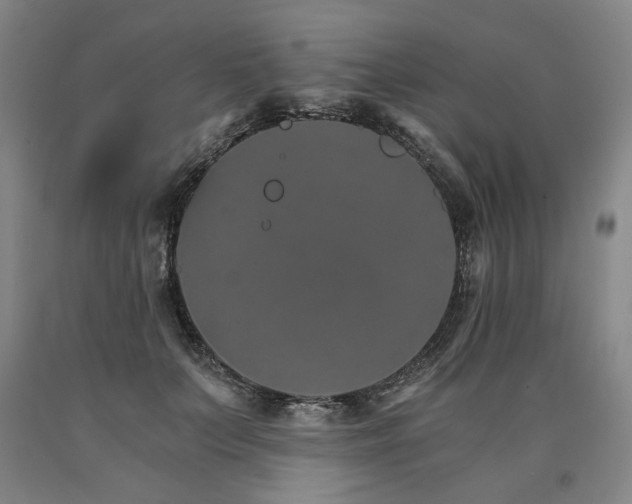 X0000090910703200707301434