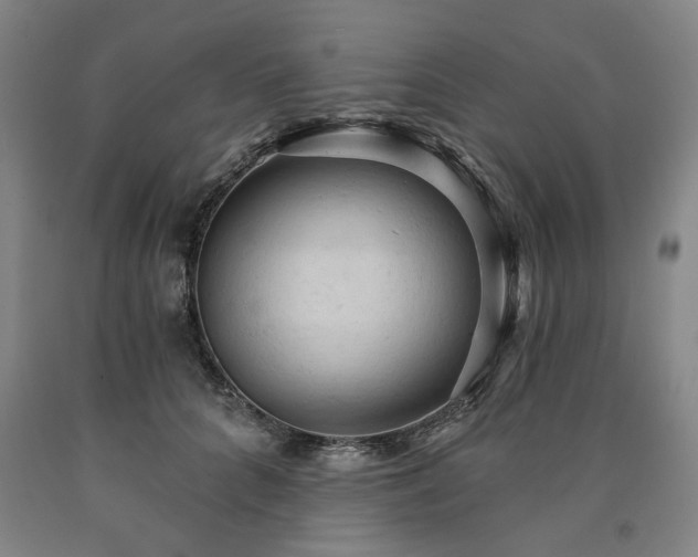 X0000090910704200707301434