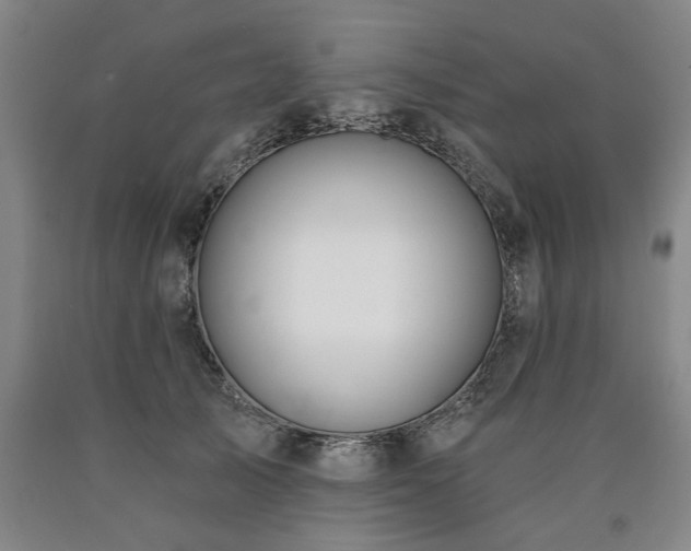 X0000090910705200707301434