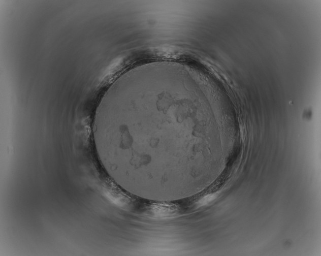 X0000090910707200707301434