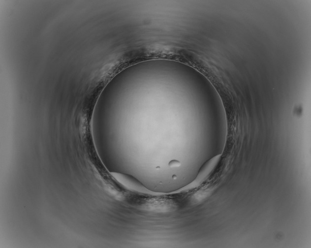 X0000090910708200707301434