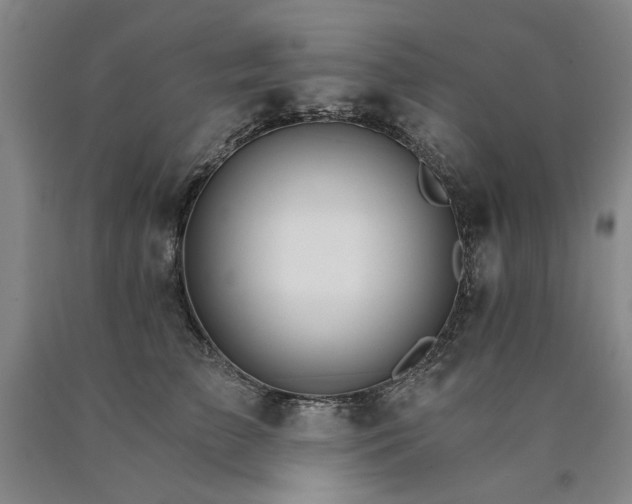 X0000090910709200707301434