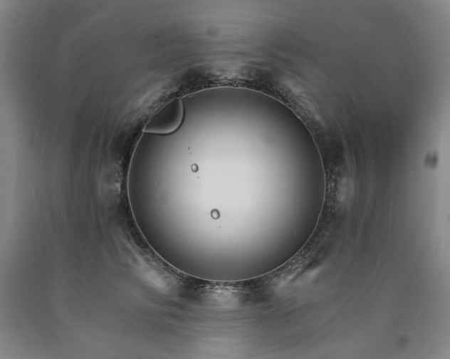 X0000090910710200707301434