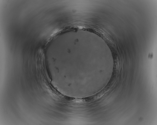 X0000090910711200707301434