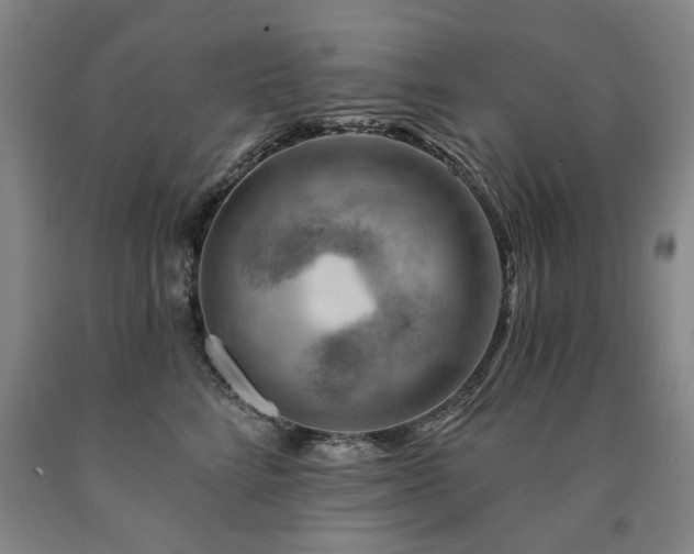 X0000090910712200707301434