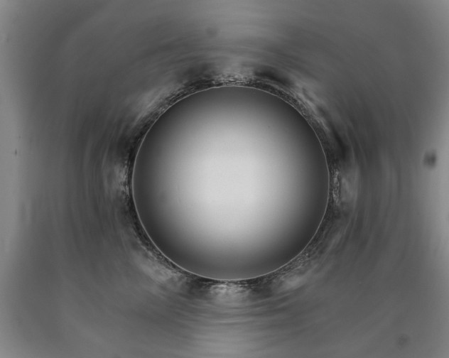 X0000090910714200707301434