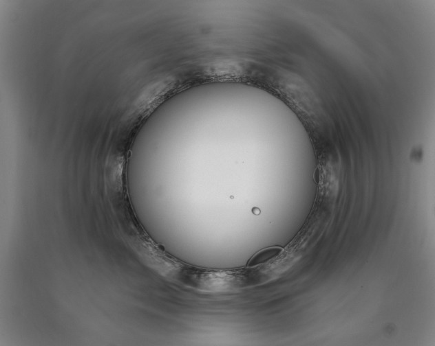 X0000090910717200707301434